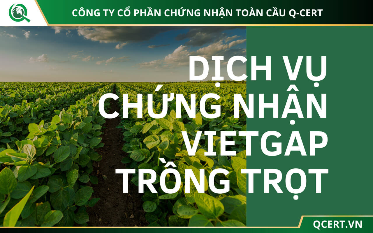 dịch vụ chứng nhận vietgap trồng trọt