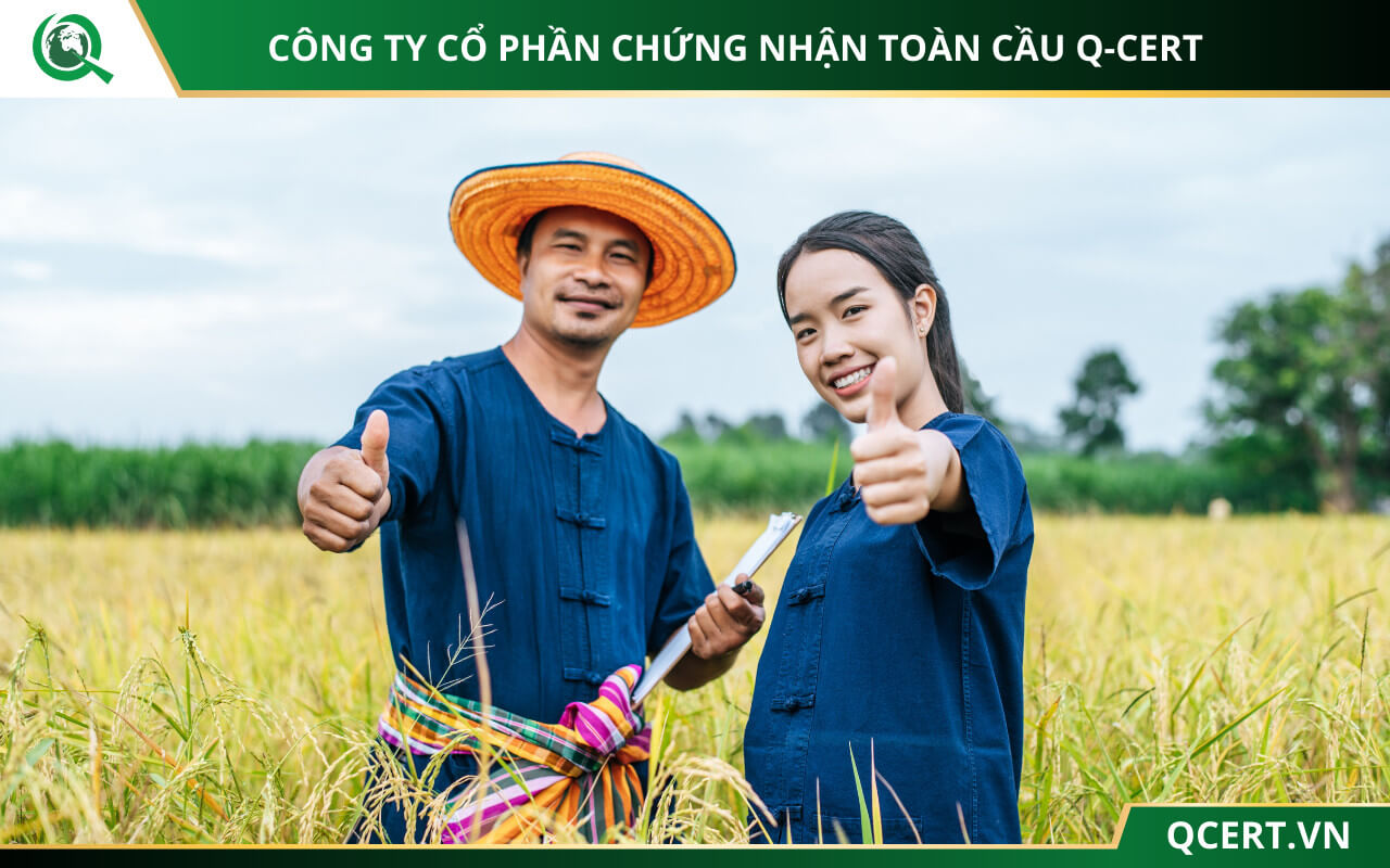 Giấy chứng nhận VietGAP trồng trọt