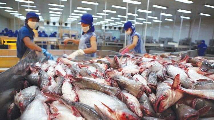 haccp-thuy-san-4