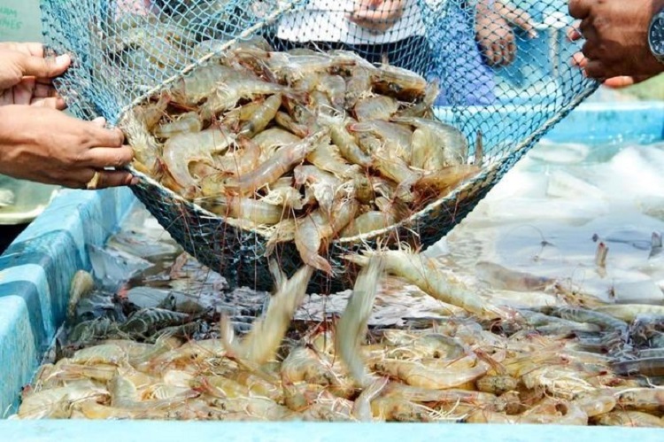 haccp-thuy-san-6