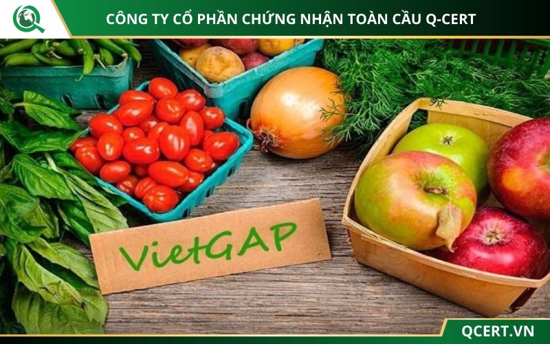 Tiêu chuẩn VietGAP