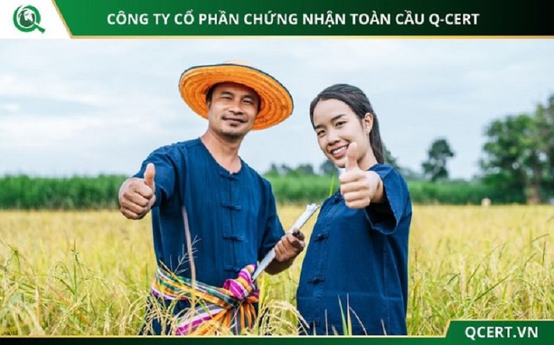 Thực hiện tiêu chuẩn vietGAP