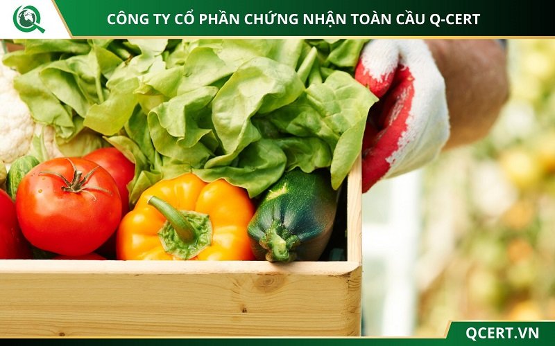 Rau VietGAP là gì?