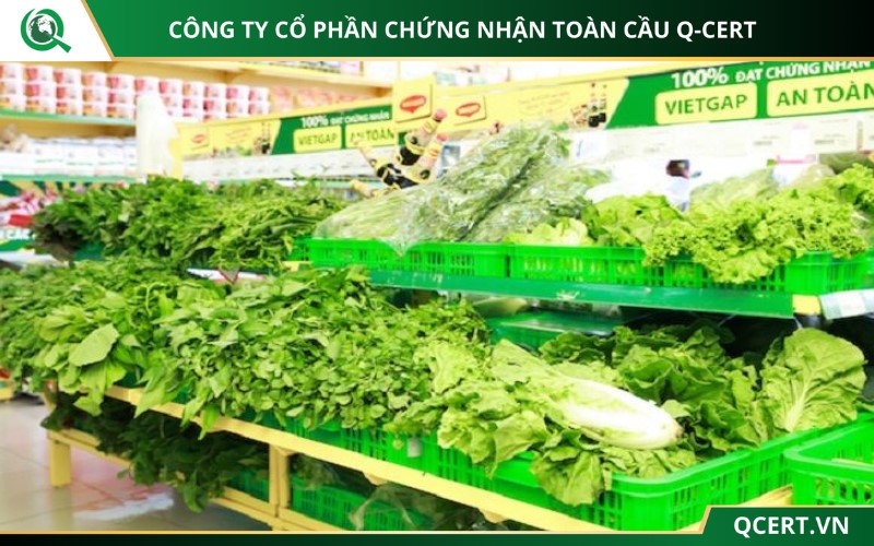 Lợi ích của trồng rau theo tiêu chuẩn VietGAP