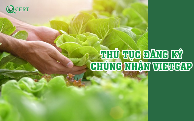 Thủ tục đăng ký chứng nhận VietGAP