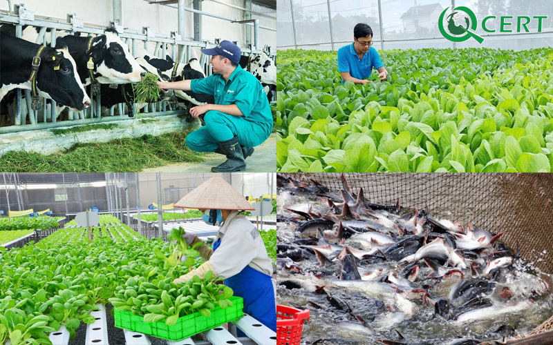 Lợi ích khi áp dụng mô hình VietGAP