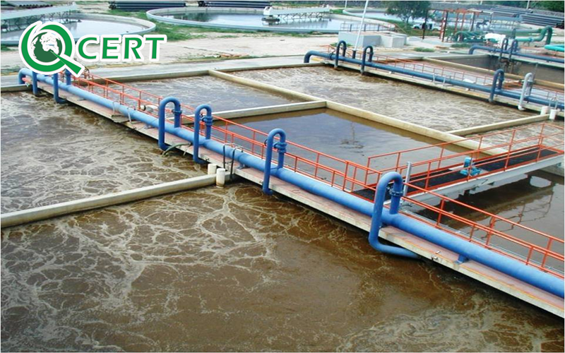 Hệ thống thoát nước cho nhà xưởng chế biến