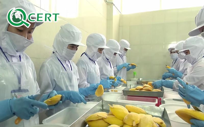 Nhân viên trang bị đầy đủ bảo hộ