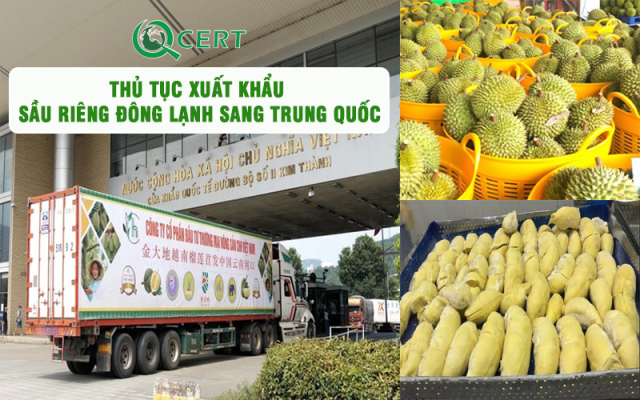 Thủ tục xuất khẩu sầu riêng đông lạnh sang Trung Quốc