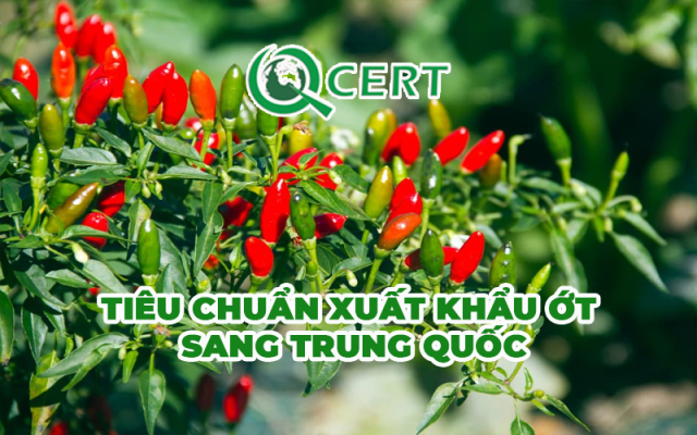 Tiêu chuẩn xuất khẩu ớt sang Trung Quốc