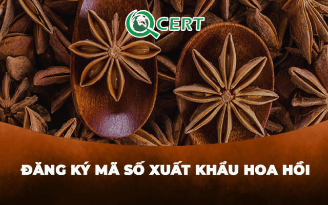 Đăng ký mã số xuất khẩu hoa hồi sang Trung Quốc