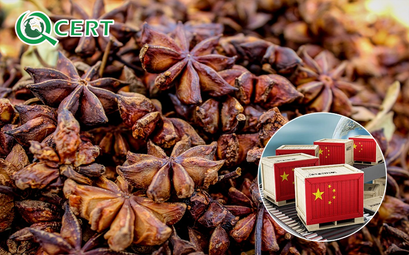 Đăng ký mã GACC xuất khẩu hoa hồi sang Trung Quốc
