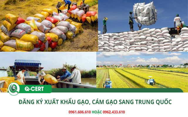 Đăng ký xuất khẩu gạo sang Trung Quốc