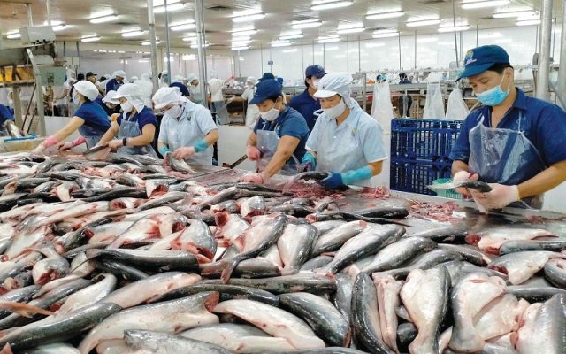 Lợi ích khi đạt chứng nhận hợp quy chợ cá