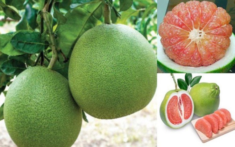 Quy trình xuất khẩu bưởi sang Trung Quốc