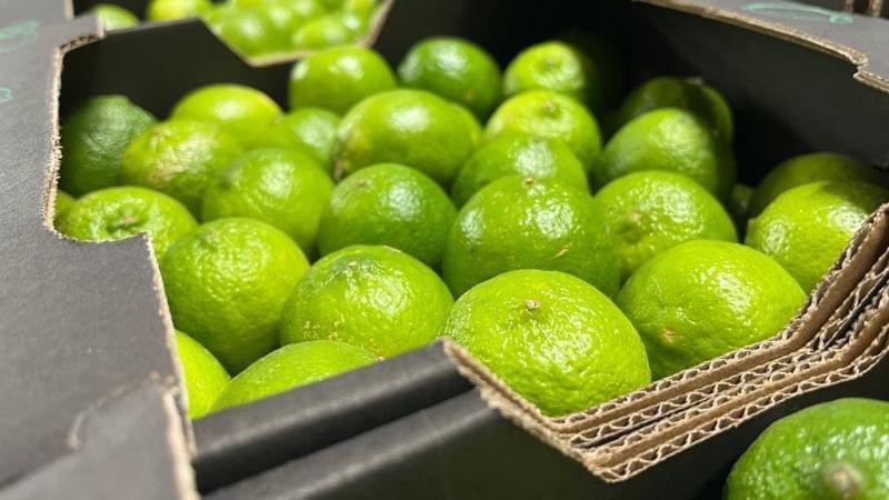 Yêu cầu khi xuất khẩu chanh