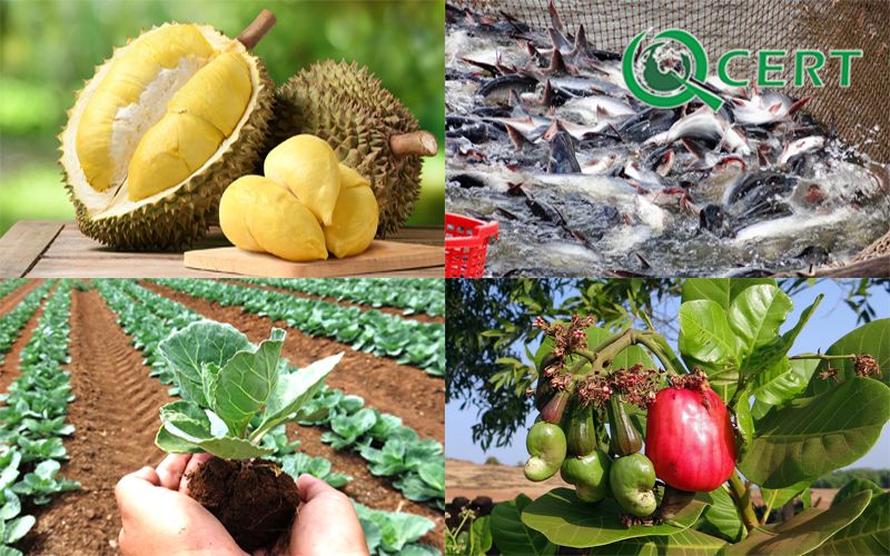 Tình hình xuất khẩu nông sản sang Trung Quốc