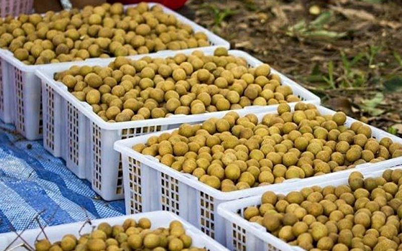 Tiêu chuẩn về đóng gói