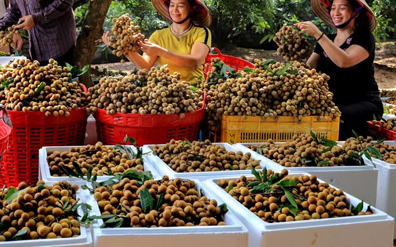 Tiêu chuẩn về chất lượng
