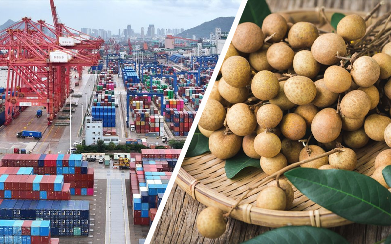 Thủ tục xuất khẩu nhãn