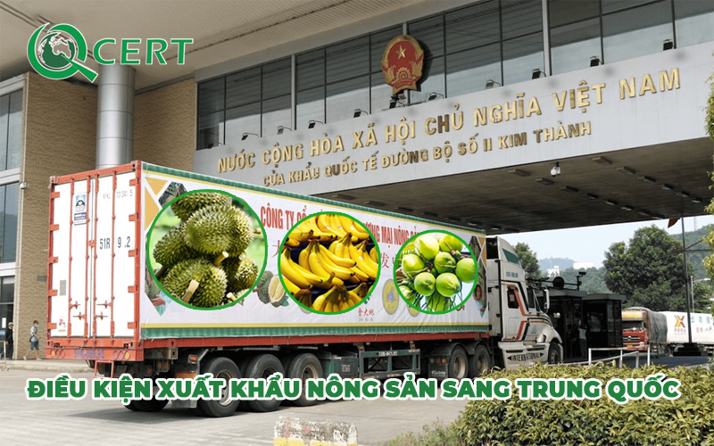 Điều kiện để xuất khẩu nông sản sang Trung Quốc