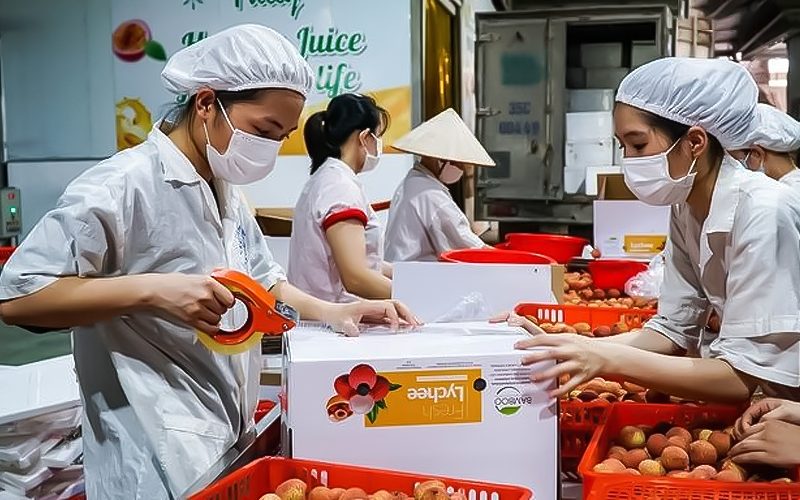 Đóng gói vải xuất khẩu