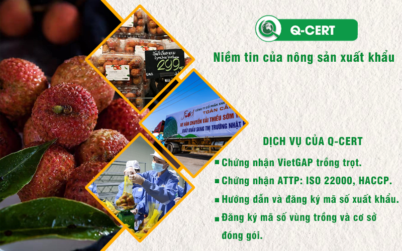 Dịch vụ của Q-CERT