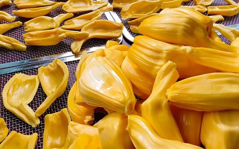 Mít tươi sấy giòn