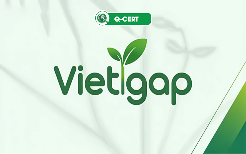 VietGAP là gì?