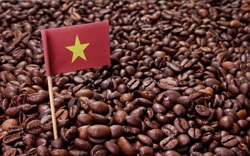 Tiêu chuẩn cà phê xuất khẩu