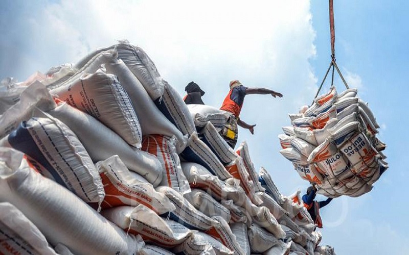 Những thị trường xuất khẩu gạo của Việt Nam
