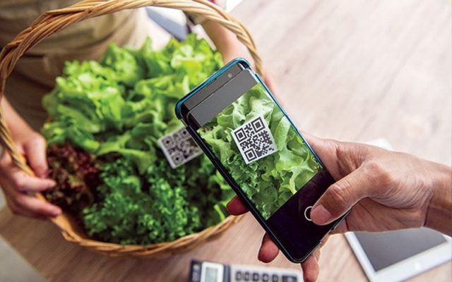 Vai trò của VietGAP trong xuất khẩu nông sản