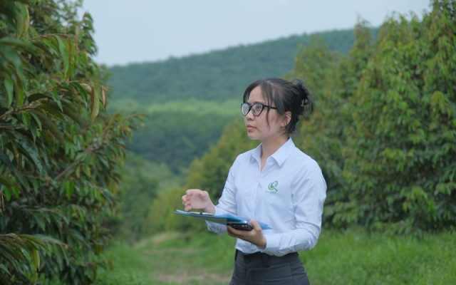 Lỗi thường gặp khi đăng ký mã số vùng trồng
