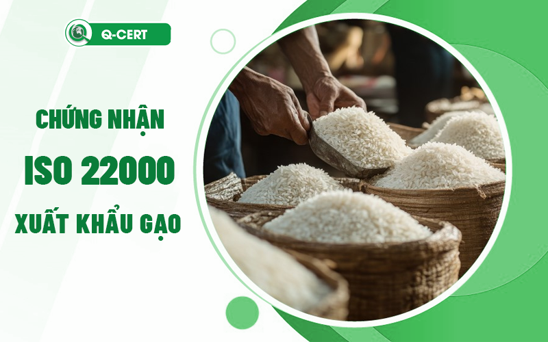 Chứng nhận ISO 22000 xuất khẩu gạo