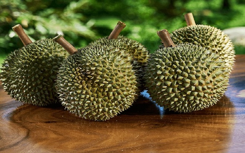 Sầu riêng Black Thorn có xuất khẩu được không?