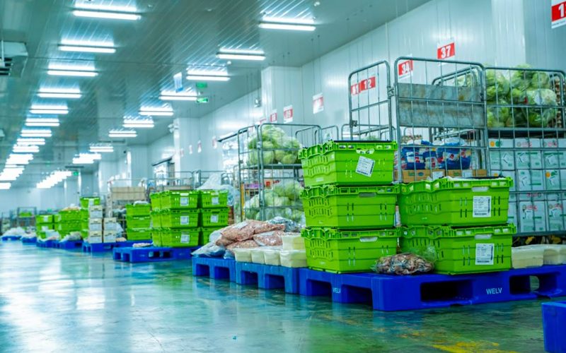 Điều kiện để chứng nhận HACCP cho kho lạnh