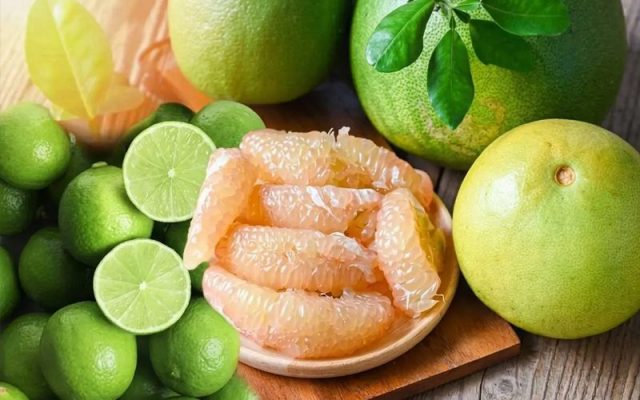 Sinh vật gây hại mà Trung Quốc quan tâm đối với chanh và bưởi xuất khẩu