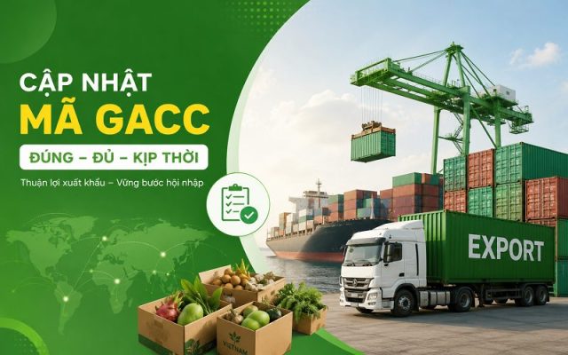 Thay đổi địa chỉ có cần cập nhật lại mã GACC không