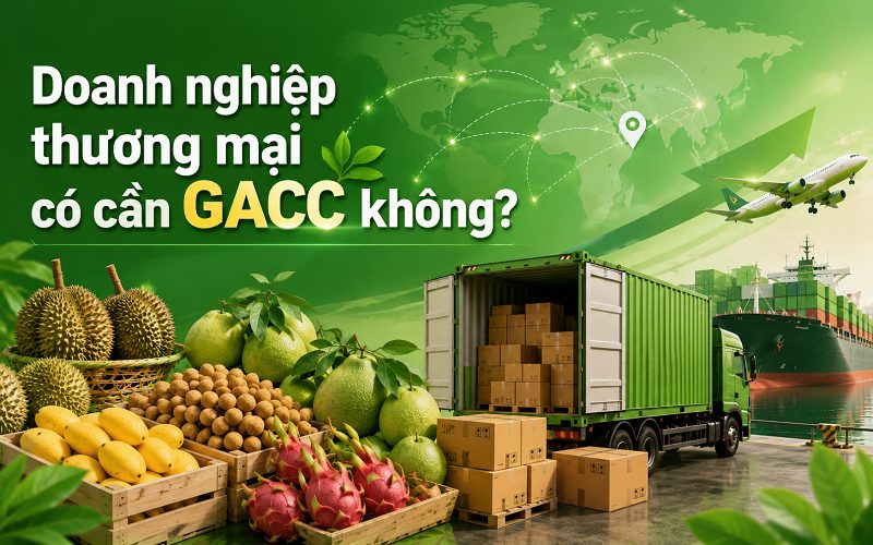 Doanh nghiệp thương mại có cần đăng ký mã GACC không?