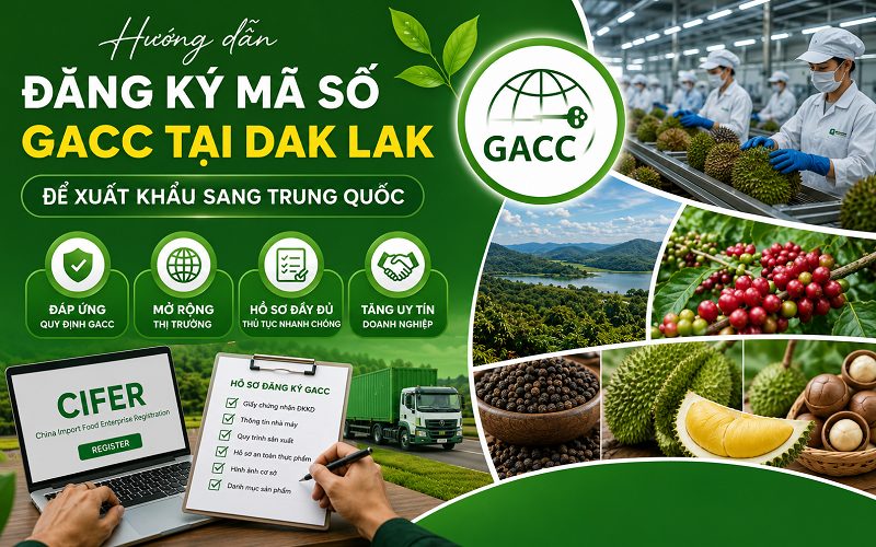 Đăng ký mã số GACC tại Dak Lak