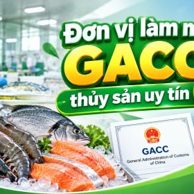Đơn vị làm mã GACC thủy sản uy tín
