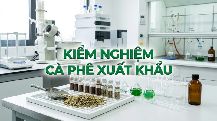 Kiểm nghiệm cà phê xuất khẩu các chỉ tiêu an toàn và phân tích chất lượng