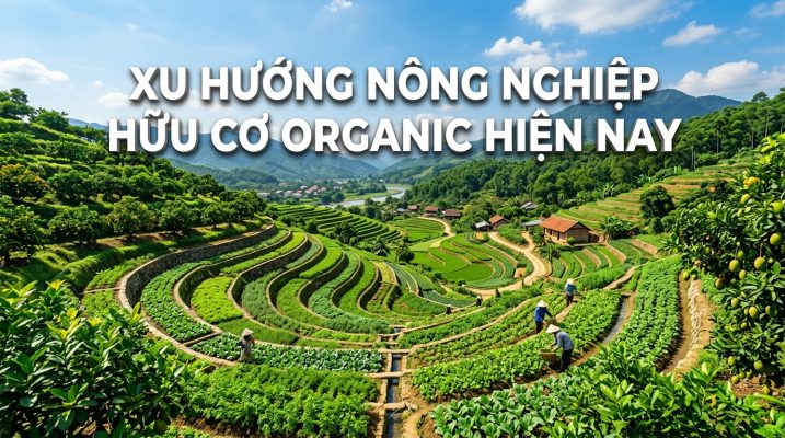 Xu hướng nông nghiệp hữu cơ organic hiện nay cơ hội và tiêu chuẩn xuất khẩu